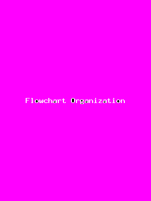 File:Flowchart Organization-1127.png