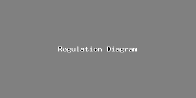 File:Regulation Diagram-1436.png