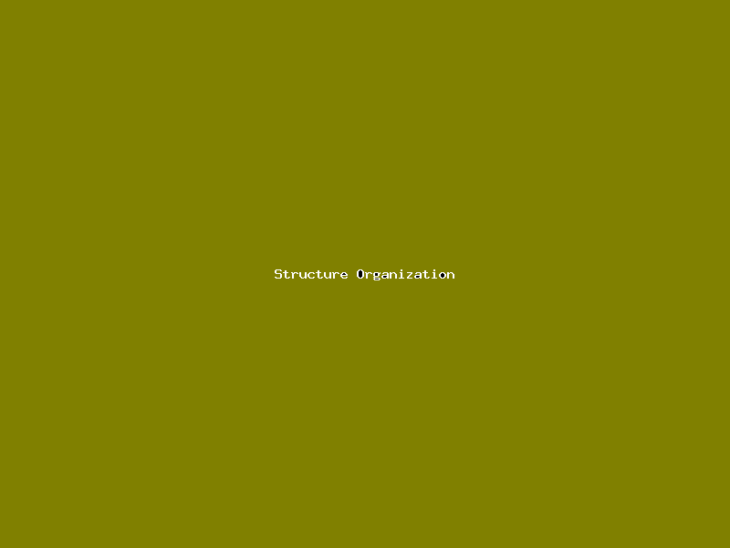 File:Structure Organization-127.png
