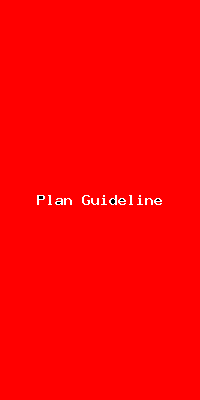 File:Plan Guideline-4856.png
