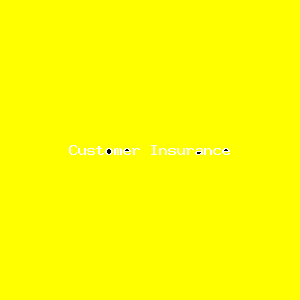 File:Customer Insurance-4462.png