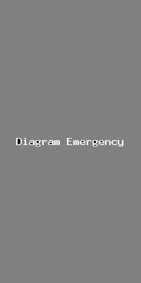 File:Diagram Emergency-1220.png