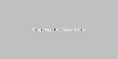 File:Company Organization-508.png