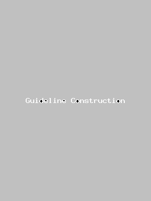 File:Guideline Construction-3967.png