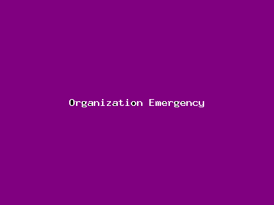 File:Organization Emergency-4435.png