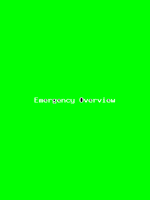 File:Emergency Overview-3192.png