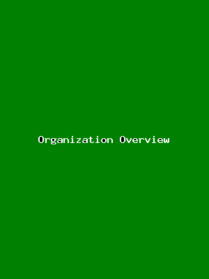 File:Organization Overview-1615.png