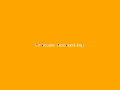 File:Process Accounting-3084.png