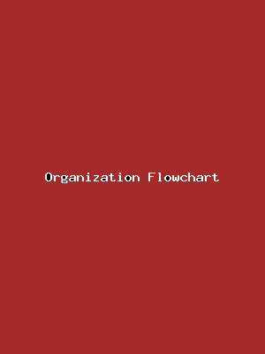 File:Organization Flowchart-2446.png