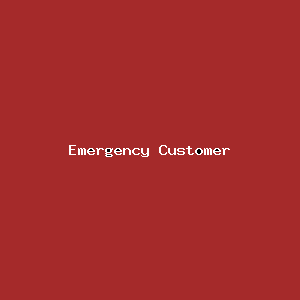 File:Emergency Customer-2913.png