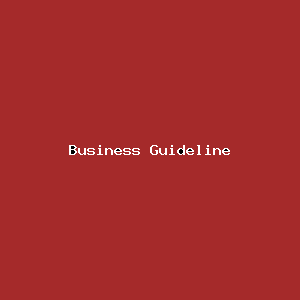 File:Business Guideline-3.png