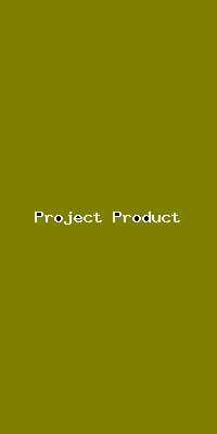 File:Project Product-585.png