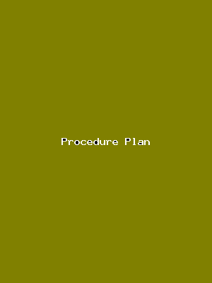 File:Procedure Plan-1575.png