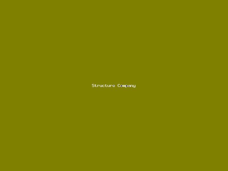 File:Structure Company-3727.png