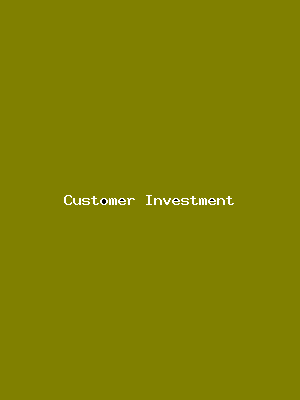 File:Customer Investment-985.png