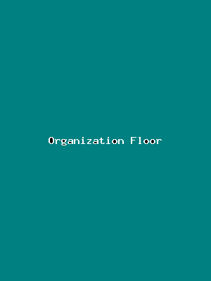 File:Organization Floor-3423.png