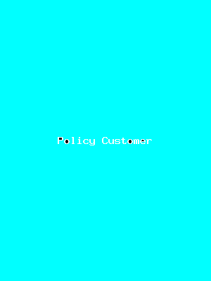 File:Policy Customer-3451.png