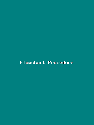 File:Flowchart Procedure-4819.png