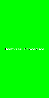 File:Overview Procedure-2429.png