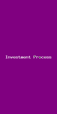 File:Investment Process-3577.png