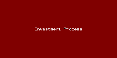 File:Investment Process-3663.png
