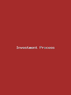 File:Investment Process-803.png