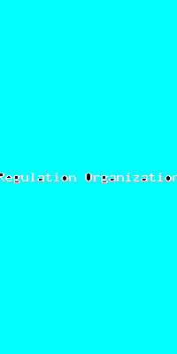 File:Regulation Organization-3720.png
