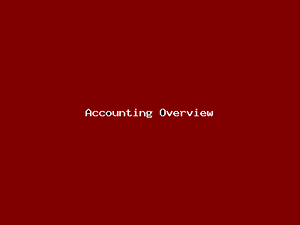 Accounting Overview-3431.png