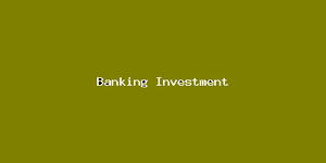 Banking Investment-4730.png