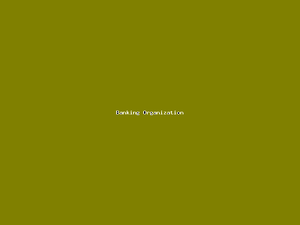 Banking Organization-3052.png