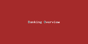 Banking Overview-2992.png