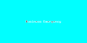 Business Emergency-198.png