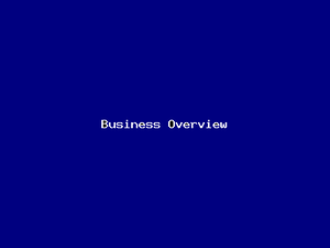 Business Overview-2631.png