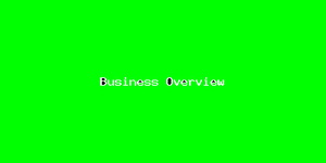 Business Overview-3143.png