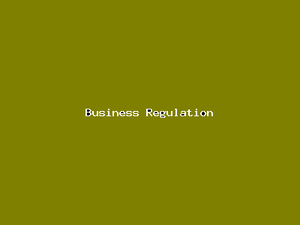 Business Regulation-4170.png
