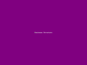 Business Structure-4316.png