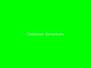 Business Structure-509.png