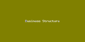 Business Structure-598.png