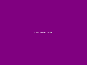 Chart Organization-1148.png
