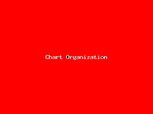 Chart Organization-2400.png