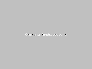 Company Architecture-3917.png