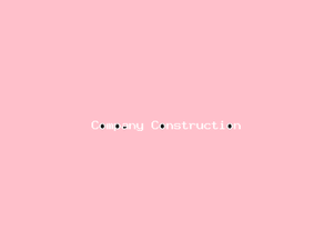 Company Construction-922.png