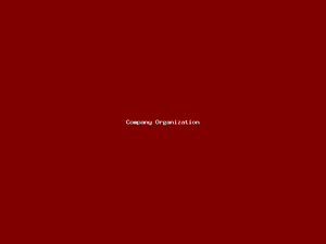 Company Organization-1560.png
