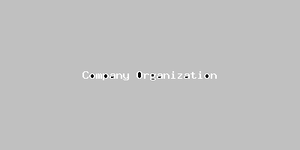 Company Organization-508.png