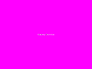 Company Overview-857.png