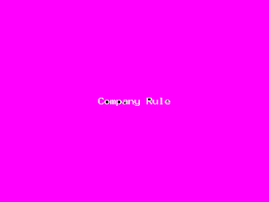 Company Rule-50.png