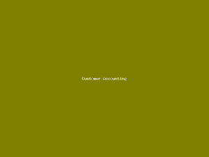 Customer Accounting-1459.png