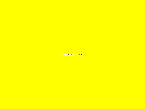 Customer Floor-2045.png