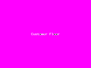 Customer Floor-2544.png