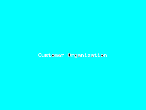 Customer Organization-4931.png